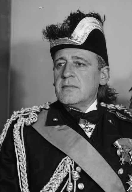 Carlo Vergara Caffarelli